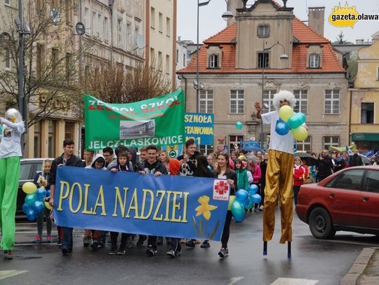 Żonkile zdążyły zakwitnąć