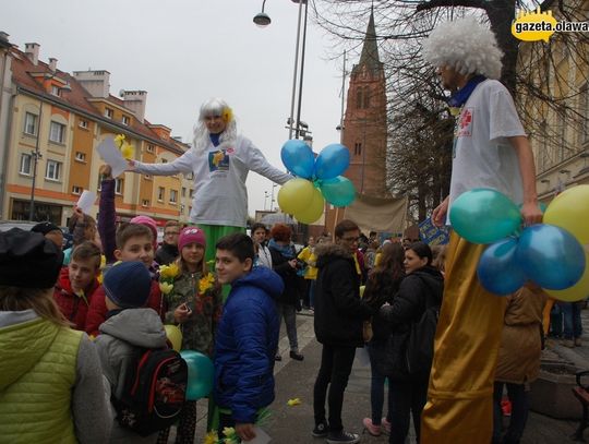 Żonkile zdążyły zakwitnąć