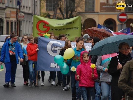 Żonkile zdążyły zakwitnąć