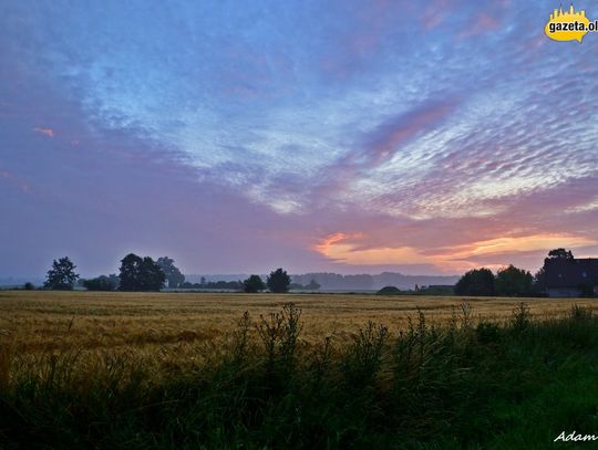 Pogoda niespokojna, ale poranki piękne