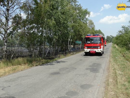 Ogień rozprzestrzeniał się błyskawicznie. Akcję utrudniał wiatr