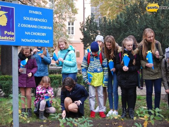 Dają nadzieję chorym i sadzą żonkile