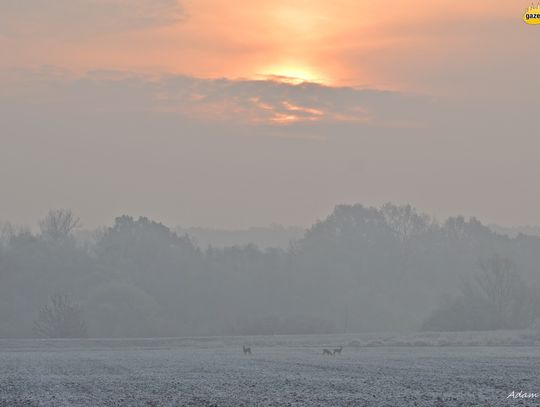 Mroźny i piękny