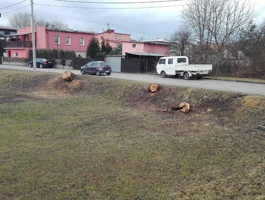 Tną drzewa gdzie tylko można. Wyślij nam zdjęcie