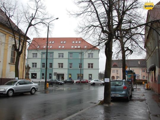 Nie będzie drzew na Rocha? Mieszkańcy panikują