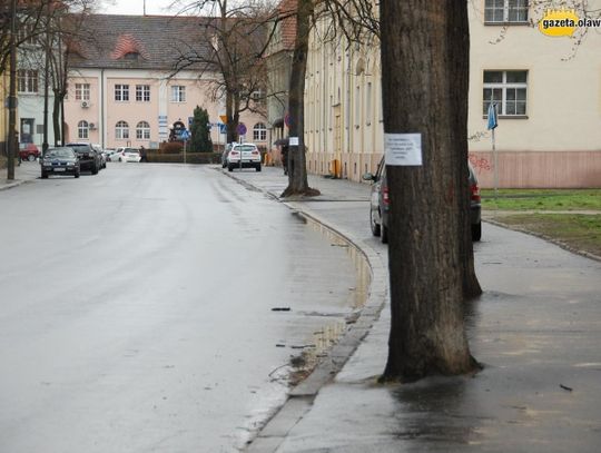 Nie będzie drzew na Rocha? Mieszkańcy panikują