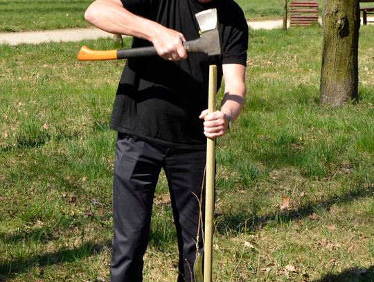 Nowoczesna posadziła drzewa Nowoczesna posadziła drzewa