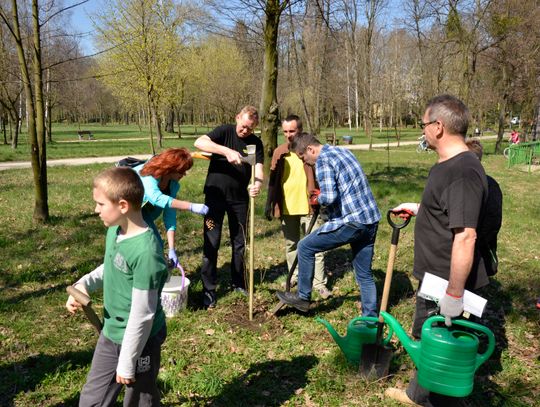 Nowoczesna posadziła drzewa Nowoczesna posadziła drzewa