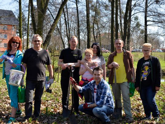 Nowoczesna posadziła drzewa Nowoczesna posadziła drzewa