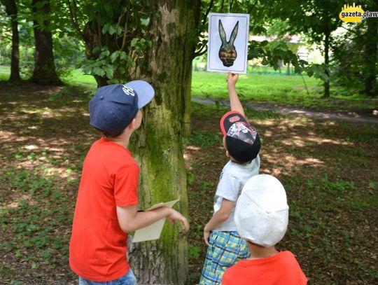 Park zamienił się w krainę czarów! ZDJĘCIA