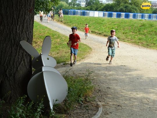 Park zamienił się w krainę czarów! ZDJĘCIA