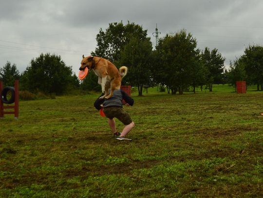 Pogoda pod psem, ale super atmosfera czyli "Piknik z psiakiem"