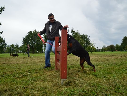 Pogoda pod psem, ale super atmosfera czyli "Piknik z psiakiem"