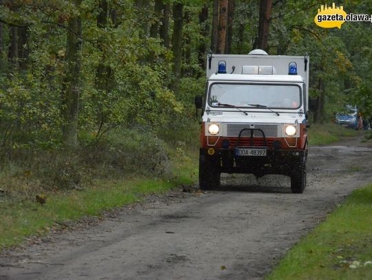 Las, błoto i tłumy biegaczy