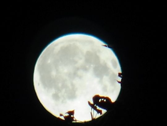 Co słychać na niebie? Co słychać na niebie?