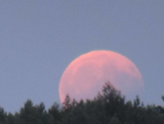 Co słychać na niebie? Co słychać na niebie?