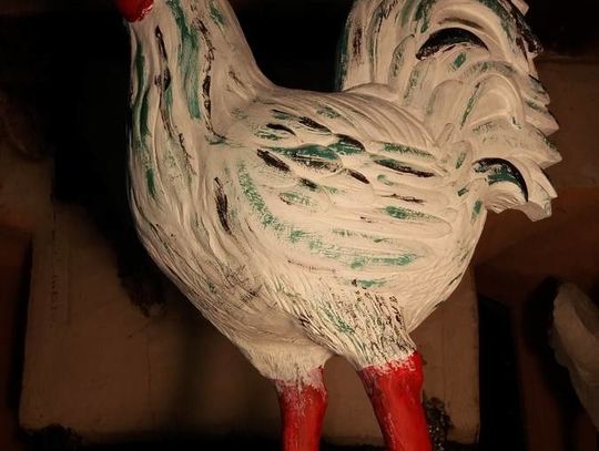 Śmierć ma się dobrze. Zobacz ZDJĘCIA