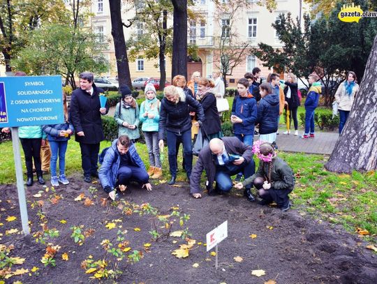 Każda kropla dobroci czyni morze nadziei