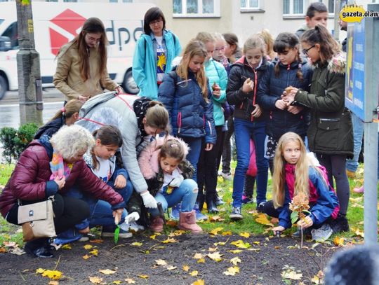 Każda kropla dobroci czyni morze nadziei