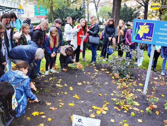 Każda kropla dobroci czyni morze nadziei