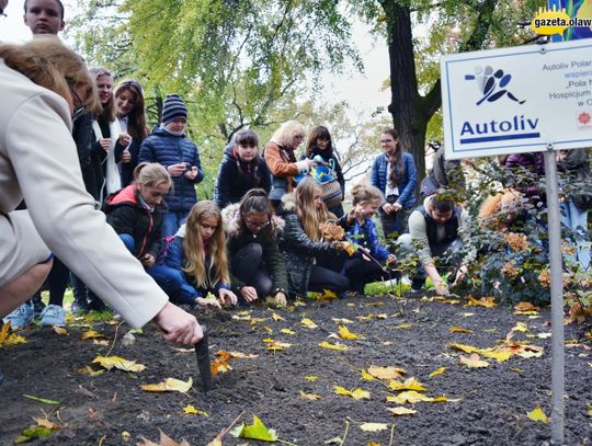 Każda kropla dobroci czyni morze nadziei