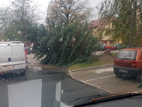 Grzegorz spowodował straty