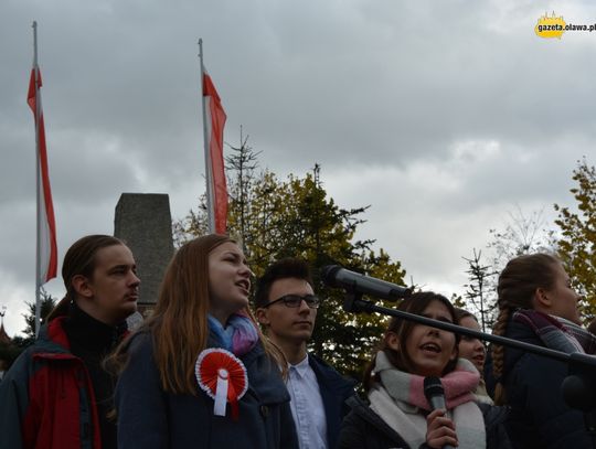 Polskość to fenomen. Starosta chce budowy pomnika