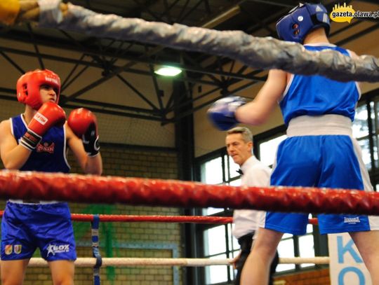 Boksowali dla Oktawiana!