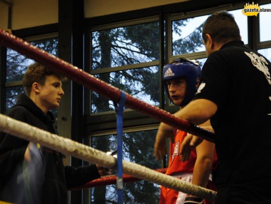 Boksowali dla Oktawiana!