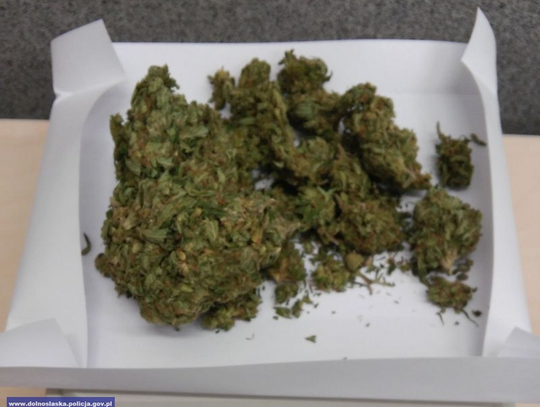 Zobaczyli policję i spanikowali. Wpadli z marihuaną