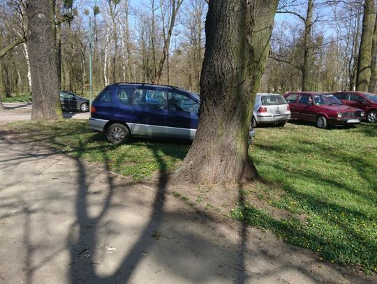 Parkowanie w parku - temat wraca. Jest też propozycja od czytelnika dla władz miasta