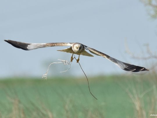 W lesie i nad wodą czyli naturalne piękno naszej gminy