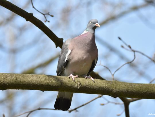 W lesie i nad wodą czyli naturalne piękno naszej gminy