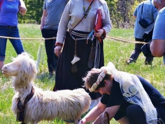 Historia na wyciągnięcie ręki i masa atrakcji