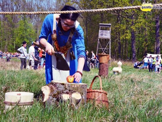 Historia na wyciągnięcie ręki i masa atrakcji