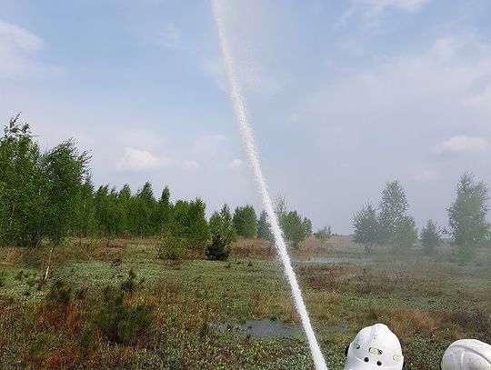 Ponad 50 strażaków nad stawem i bardzo ważne zadanie