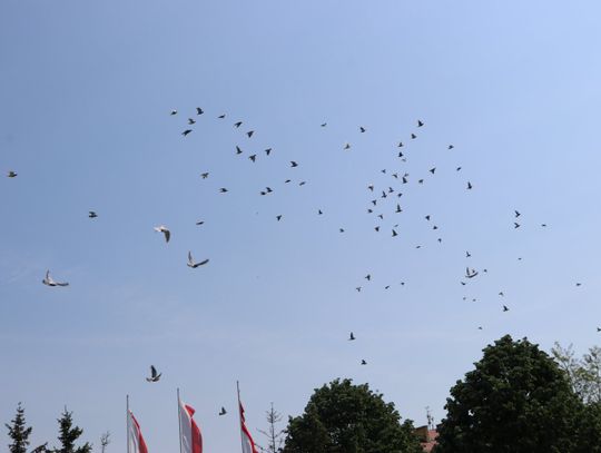 Uczcili święto Konstytucji 3 Maja i wypuścili 100 gołębi