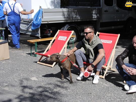 W &quot;Lumnarze&quot; jak na Zachodzie - bez zmian. ZDJĘCIA