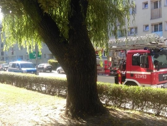 Akcja strażaków na Kasprowicza w Oławie Akcja strażaków na Kasprowicza w Oławie