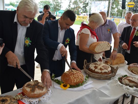 Idealny wieniec? Taki jak ten z Kopaliny! ZDJĘCIA