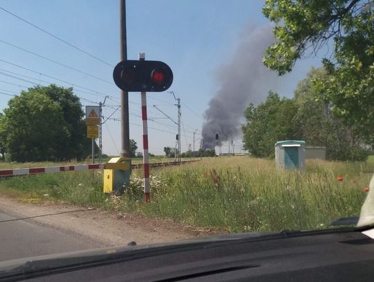 Pożar wysypiska śmieci! ZDJĘCIA, VIDEO