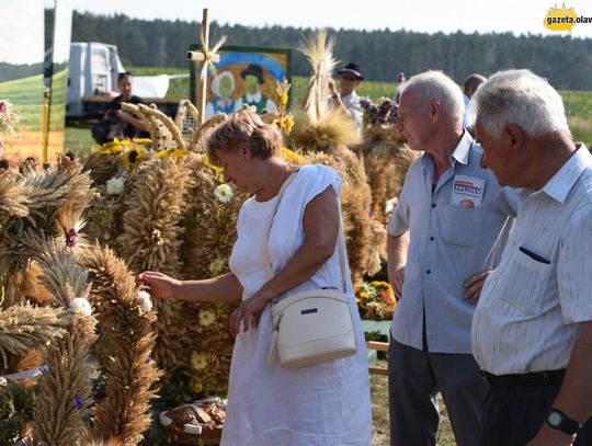 Udane święto plonów! ZDJĘCIA