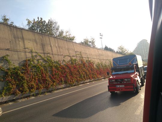 94 Oktany w podróży życia. Relacja, zdjęcia