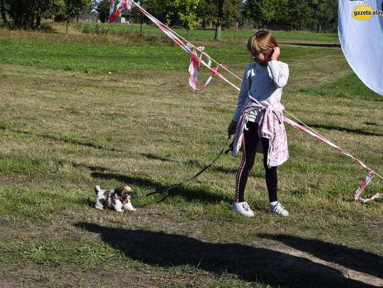 Lucky najsympatyczniejszym psem Oławy!