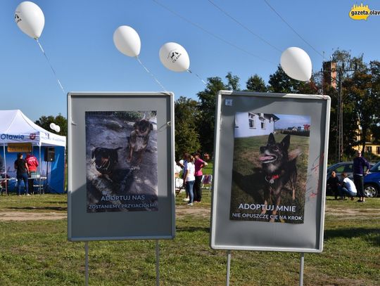 Lucky najsympatyczniejszym psem Oławy!