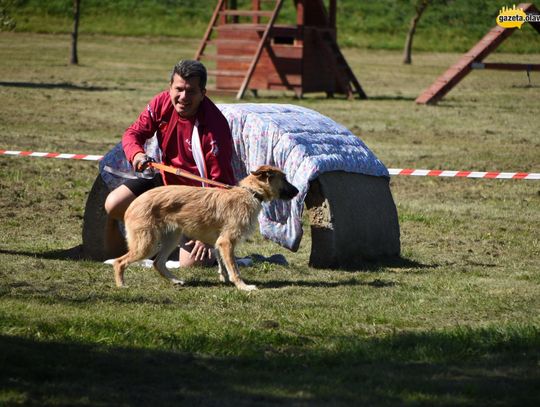 Lucky najsympatyczniejszym psem Oławy!