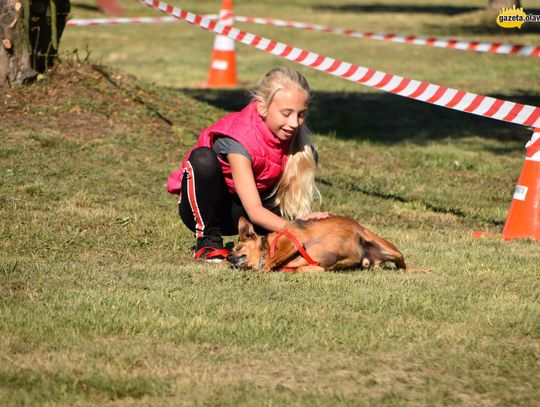 Lucky najsympatyczniejszym psem Oławy!