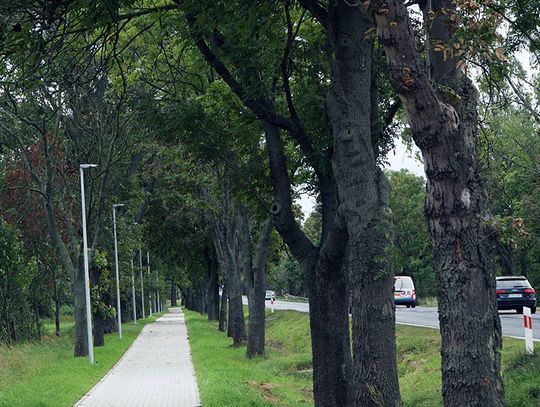 Stanowice i Oława połączone chodnikiem