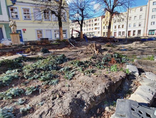 Rynek już bez świerków. ZDJĘCIA