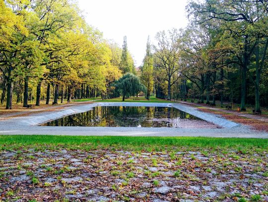 Pomysł na weekendowy spacer. Tak blisko, tak pięknie!